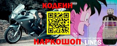 apvp Рыбинск