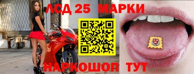 apvp Рыбинск