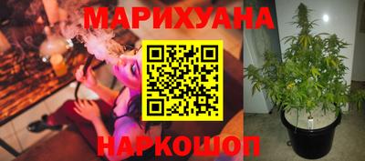 apvp Рыбинск