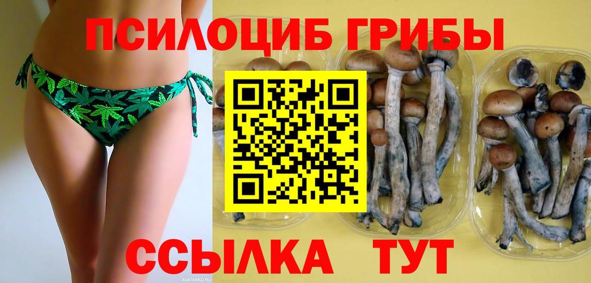 Партизанск  Галлюциногенные грибы Psilocybine cubensis  Вход с VPN 